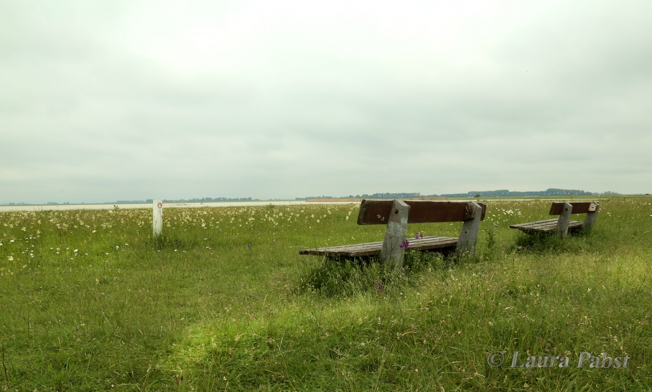 Nationalpark Neusiedlersee