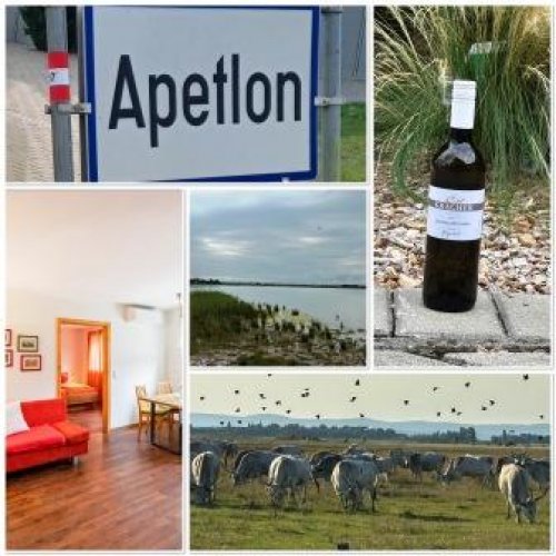 Frühling in Apetlon