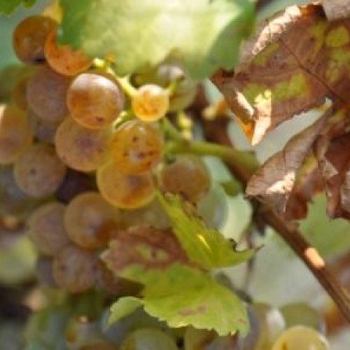 Der Herbst ist da! Der Herbst ist da!