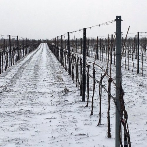 Schnee im März