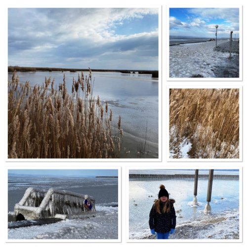 Winter am Neusiedlersee